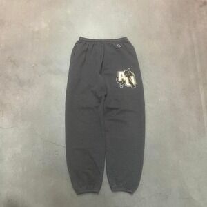 Y2K champion Adelphi university men's grey loose fit sweatpants lion baggy M